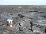 Lava Flows: Royal/Kalapana Gardens Area