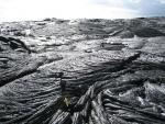 Lava Flows: Royal/Kalapana Gardens Area