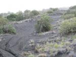 Mauna Kea Access Road:Black Sand