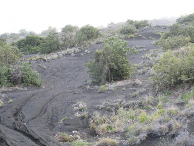 Mauna Kea Access Road:Black Sand