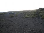 Mauna Kea Access Road: More Silver Swords