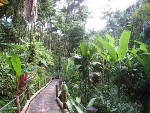 Day 7: Hawaii Tropical Botanical Garden