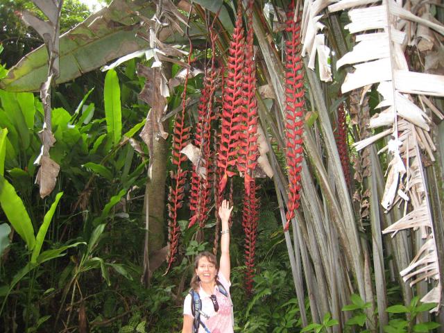 Hawaii Tropical Botanical Garden: Vivian
