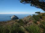 View off Highway 1, Big Sur Coast