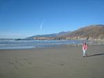 Highway 1, Big Sur Coast: Sand Dollar Beach