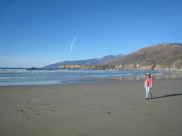 Highway 1, Big Sur Coast: Sand Dollar Beach