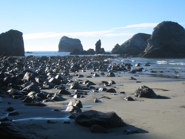 Highway 1, Big Sur Coast: Sand Dollar Beach