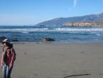 Highway 1, Big Sur Coast: Sand Dollar Beach