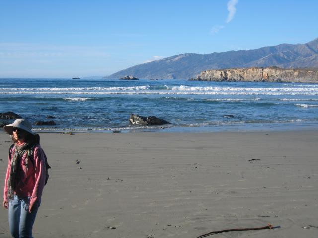 Highway 1, Big Sur Coast: Sand Dollar Beach