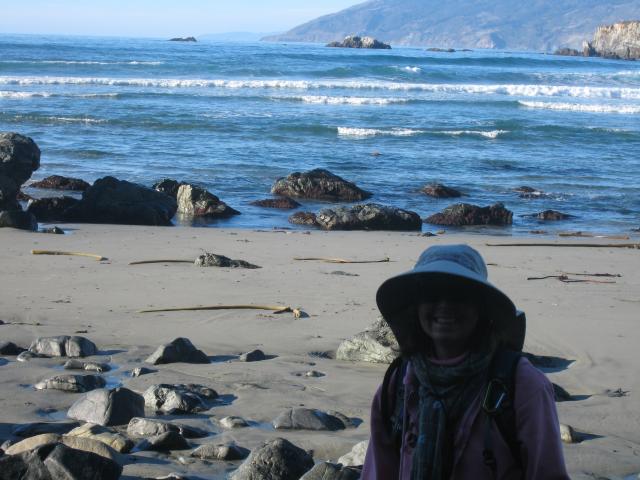 Highway 1, Big Sur Coast: Sand Dollar Beach
