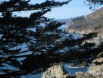 Big Sur Coast: Julia Pfeiffer Burns State Park.