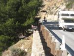 Highway 1, Big Sur Coast: Car dodging a low-flying condor.