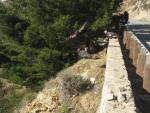 Highway 1, Big Sur Coast: California Condors