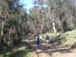 A grove of trees provides welcome shade.