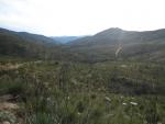 Vista, with charred vegetation clearly visible.