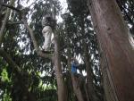 Marc and son Justin climbing trees in a Meudon park, suburb of Paris.