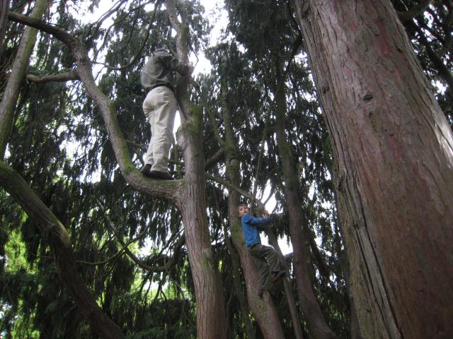 Marc and son Justin climbing trees in a Meudon park, suburb of Paris.