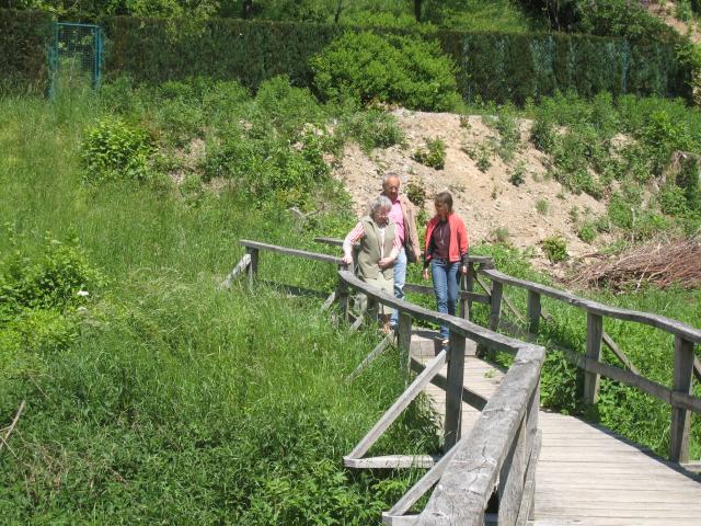 Wally, Bernd and Vivian walking through Hermeskeil.