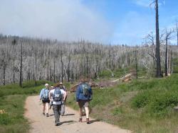 Cuyamaca Peak 2011