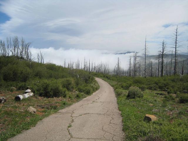 IMG_7092_cnv.jpg