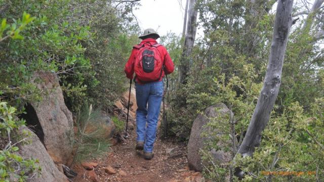 20110508_Cuyamaca_Peak_066_caf.jpg
