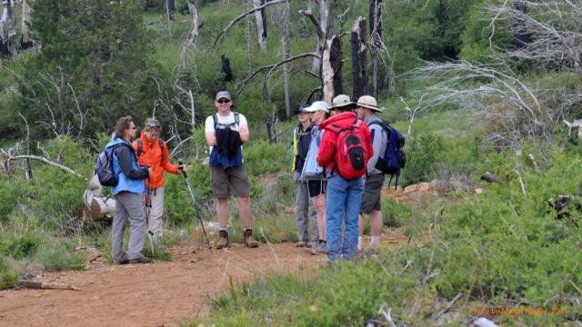 20110508_Cuyamaca_Peak_089_caf.jpg