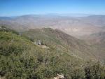 IMG_7214.jpg