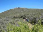 IMG_7215.jpg
