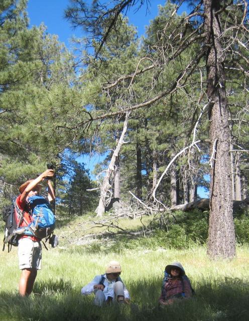 IMG_7245_cropped.jpg