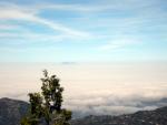 IMG_7264.JPG