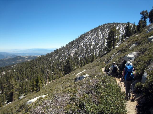 IMG_7305.JPG