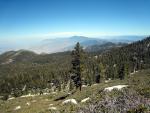 IMG_7306.JPG