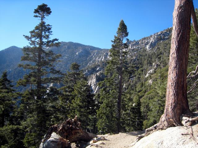 IMG_7311.JPG