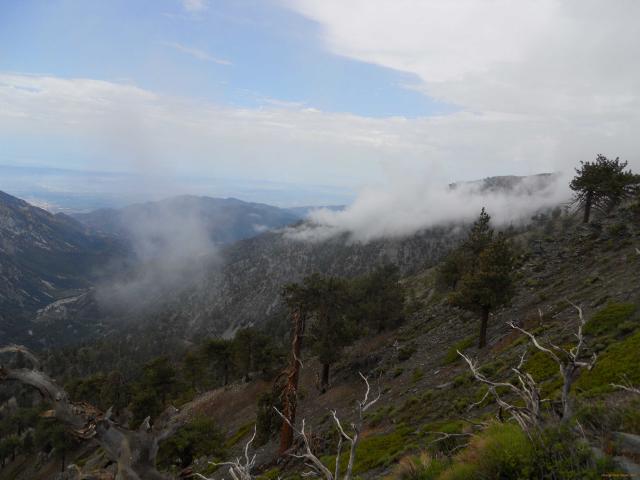 DSCN1755_caf.JPG