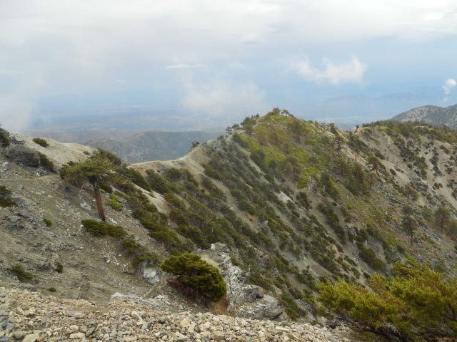DSCN1766_caf.JPG