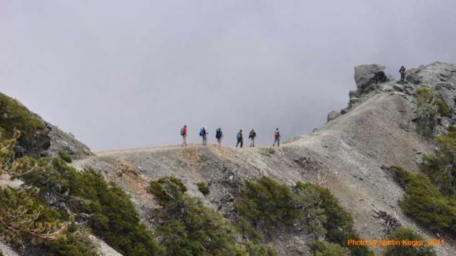DSC_0080_caf_caf.JPG