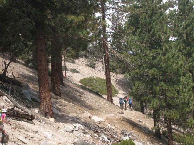 IMG_7441_cnv.jpg