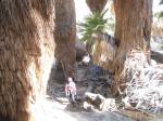 IMG_8274.JPG