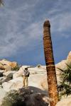 20120220_GoatCanyon_013_caf.jpg