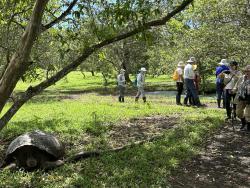 2024_03_02_11_Galapagos_Santa_Cruz_ranch_with_wild_tortoise_population