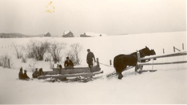 1950s:  Sledding in winter down by swamp.