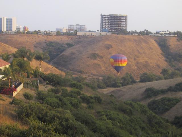 Watching balloons fly - a view from our backyard.