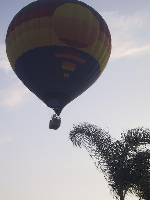 Balloon flying close to house - view from our backyard.