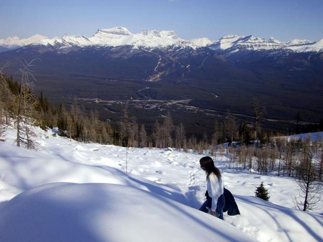View of Lake Louise Ski area from Saddleback Trail