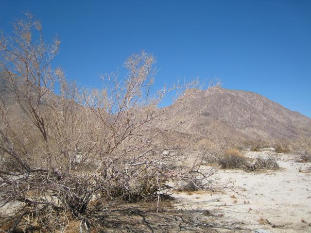 View of Mountains from Anza Borrego Visitor Center