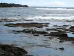 Punalu'u Black Sand Beach with Honu (Green Sea Turtle)