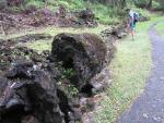 Lava Tree State Monument: Fallen lava tree