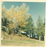 1963 Goldsberry Cottage Site (once called &quot;Priest's point&quot; by some)