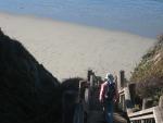 Highway 1, Big Sur Coast: Sand Dollar Beach