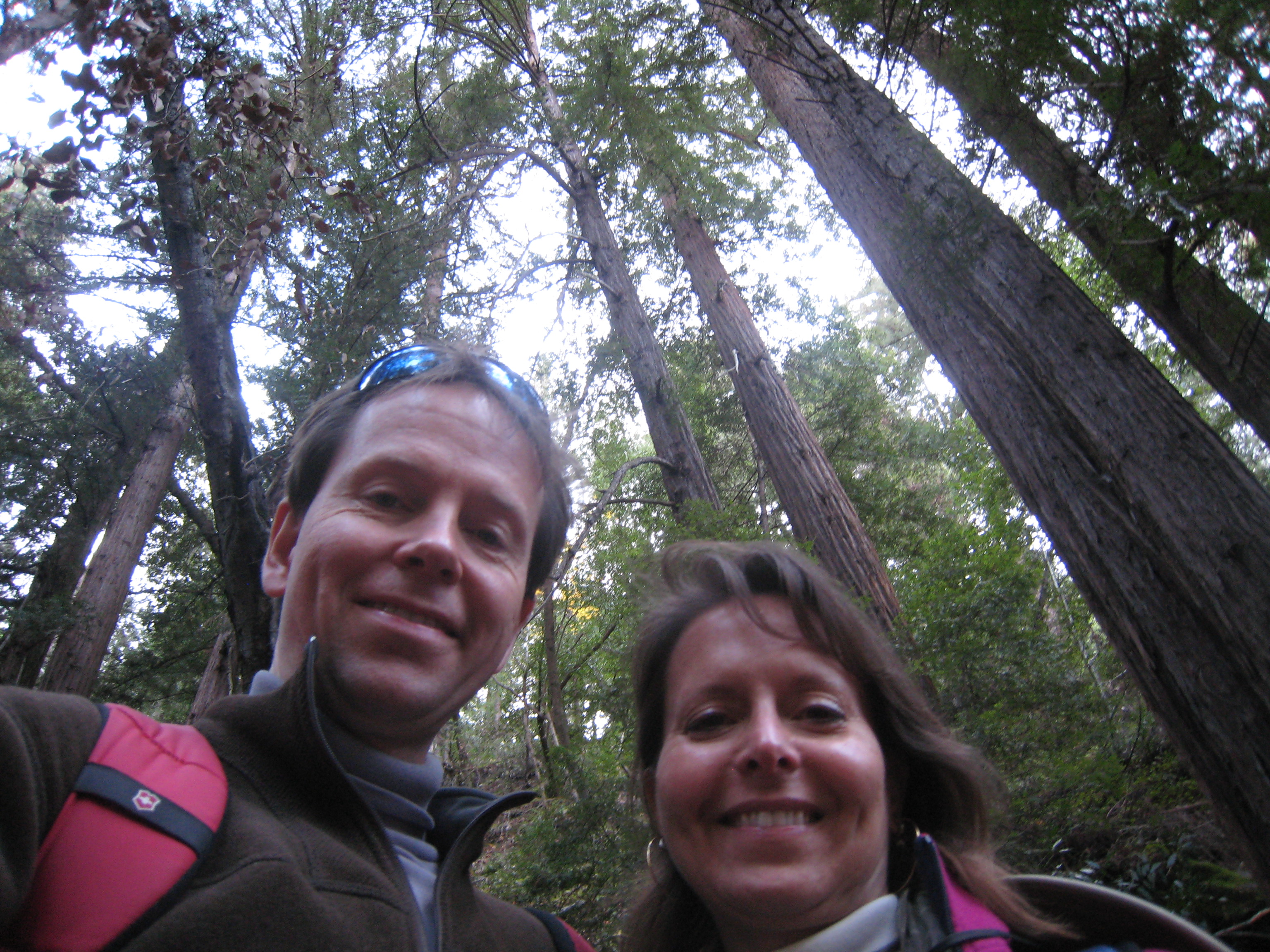 Pfeiffer Big Sur: Buzzard's Roost Trail: Randy and VIvian in the Redwoods (aka Sequoia)